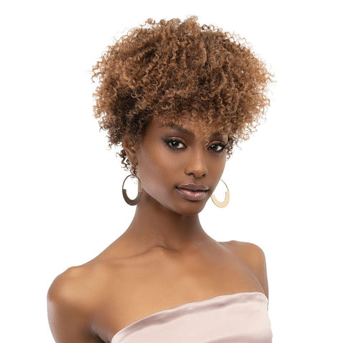 JANET COLLECTION NATURAL AFRO MICA WIG