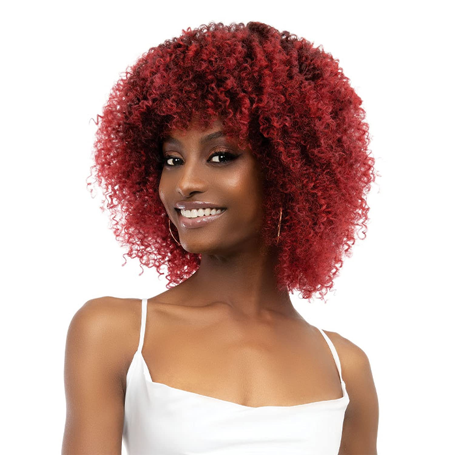 JANET NATURAL AFRO LEON WIG